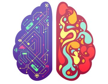 Left and right human brain cerebral hemispheres pictorial symbolic colorful figure with flowchart and activity zones vector illustration